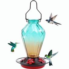 Glass Hummingbird Feeder for Outdoors Hanging, 25Oz Humming Bird Nectar Feede...