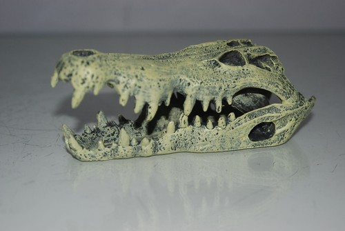Aquarium oder Vivarium Detaildekoration Krokodilschädel 14x6x6 cm - Bild 7 von 9