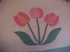 Bild 3 von 11