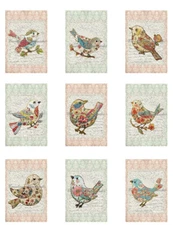 Vintage Embroidered Faux Look Birds A MULTI-SIZE SET Cotton Fabric Quilt Blocks