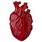 Foto 14 di 21