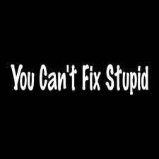 You Cant Fix Stupid Decal Sticker White Die Cut Vinyl You Cant Fix Stupid Decal Sticker White Die Cut Vinyl