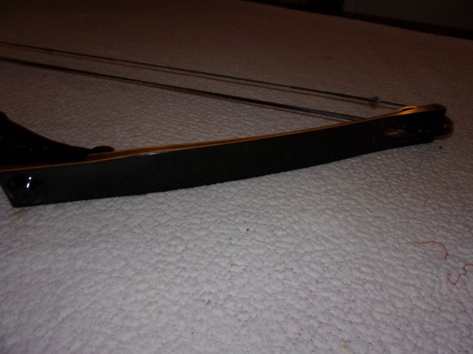 Vintage Darton Archery SL 50M Compound Bow | eBay