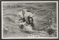 PATTREIOUEX-SPORTING EVENTS & STARS 1935-#38- SWIMMING - EH TEMME