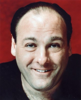 ''The Sopranos'' James Gandolfini 5x7 Television Memorabilia HBO
