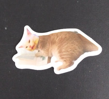 Cute Adorable Playful Kitty Cat Sticker 1.5" x 2.5" Q 