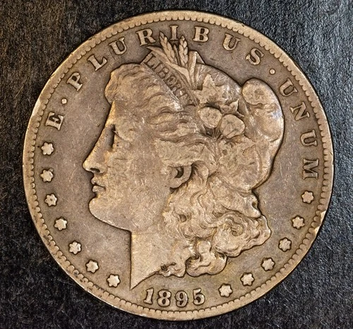 1895-S Morgan Dollar Fine Details