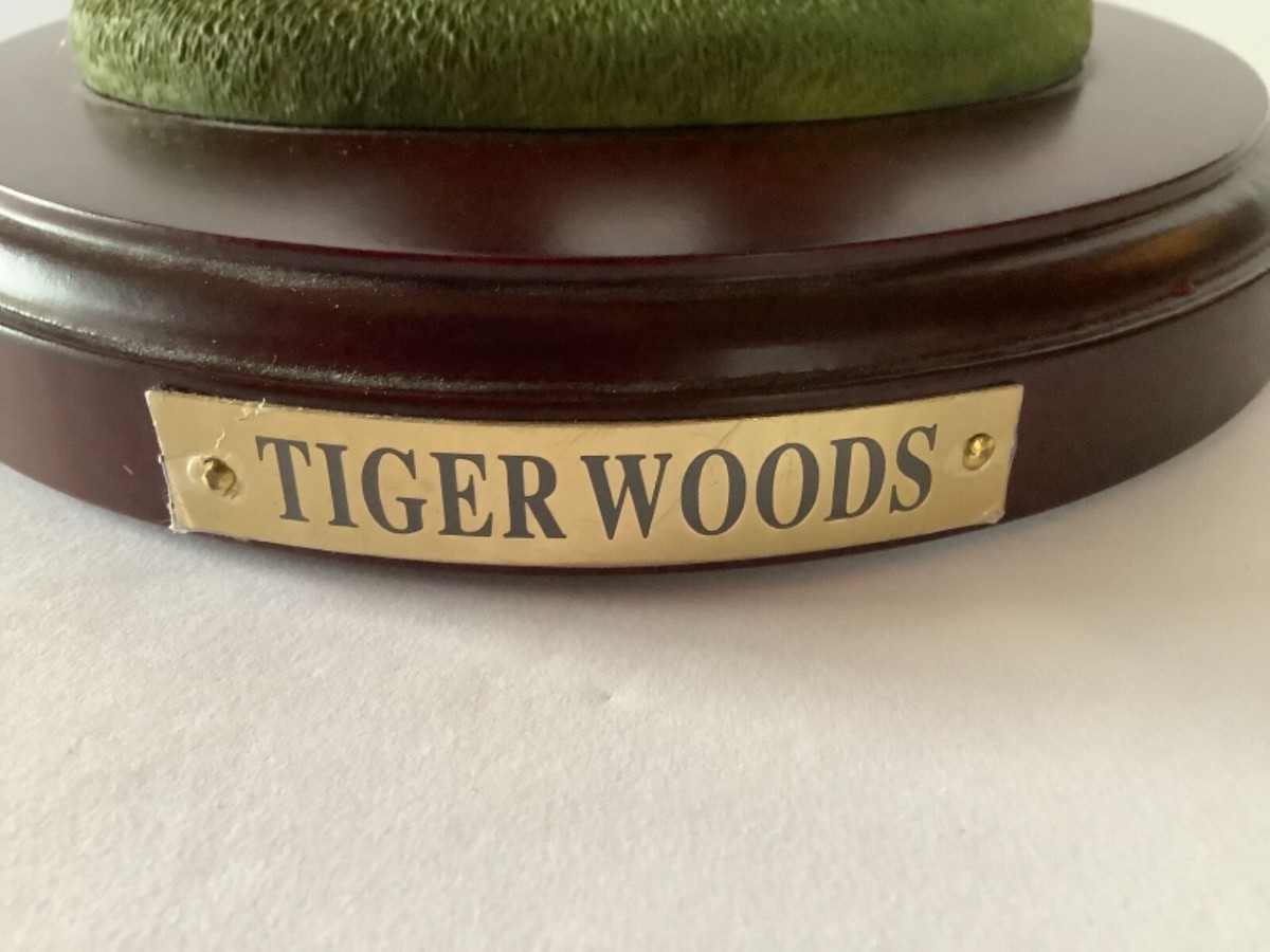 Tiger Woods Historical Beginnings Upper Deck Figure ORIGINAL Tiger Woods Historical Beginnings Upper Deck Figure ORIGINAL