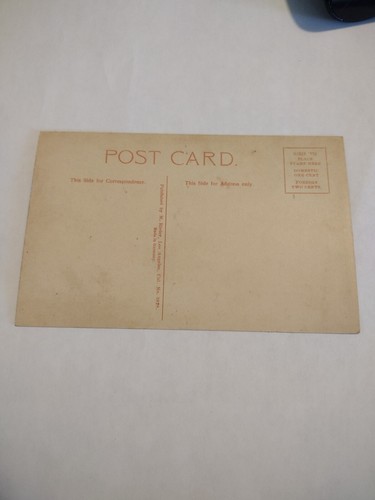 Vintage Postcard Chinook Salmon, "Weight from 69 to 74 lbs each" - Picture 3 of 3