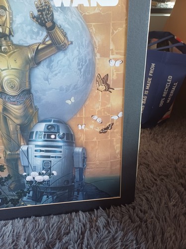 Limited Edition Star Wars C-3PO Kiddyland (Toy Shop Tokyo) Star Wars Print 2007 - Picture 3 of 6