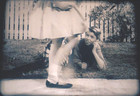 16mm film: POST ALPHA-BITS CEREAL - 1956 - DEBUT AD FOR THE BRAND -  VERY RARE — photo 4