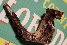 *DEER ANTLER WHISTLE*DOG TRAINING*EMERGENCIES*COMMUNICATIONS*PROTECTION*CHEROKEE