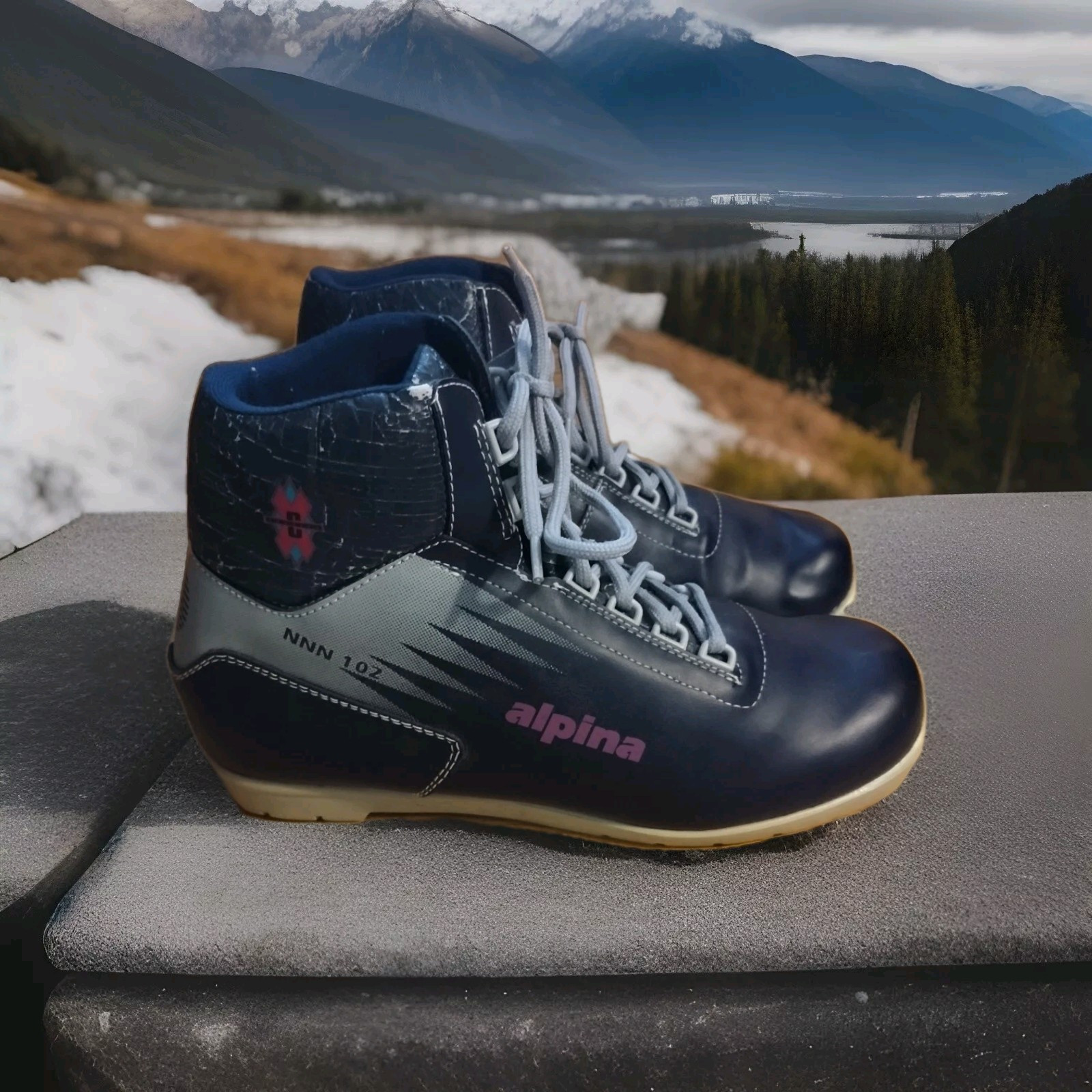 SALOMON Scarponi da sci di fondo nordico Alpina 102 EU 43 M9 5 W10 5 NNN nero argento