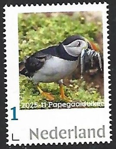 Netherlands  2025-11 Birds:  Puffin     mnh u