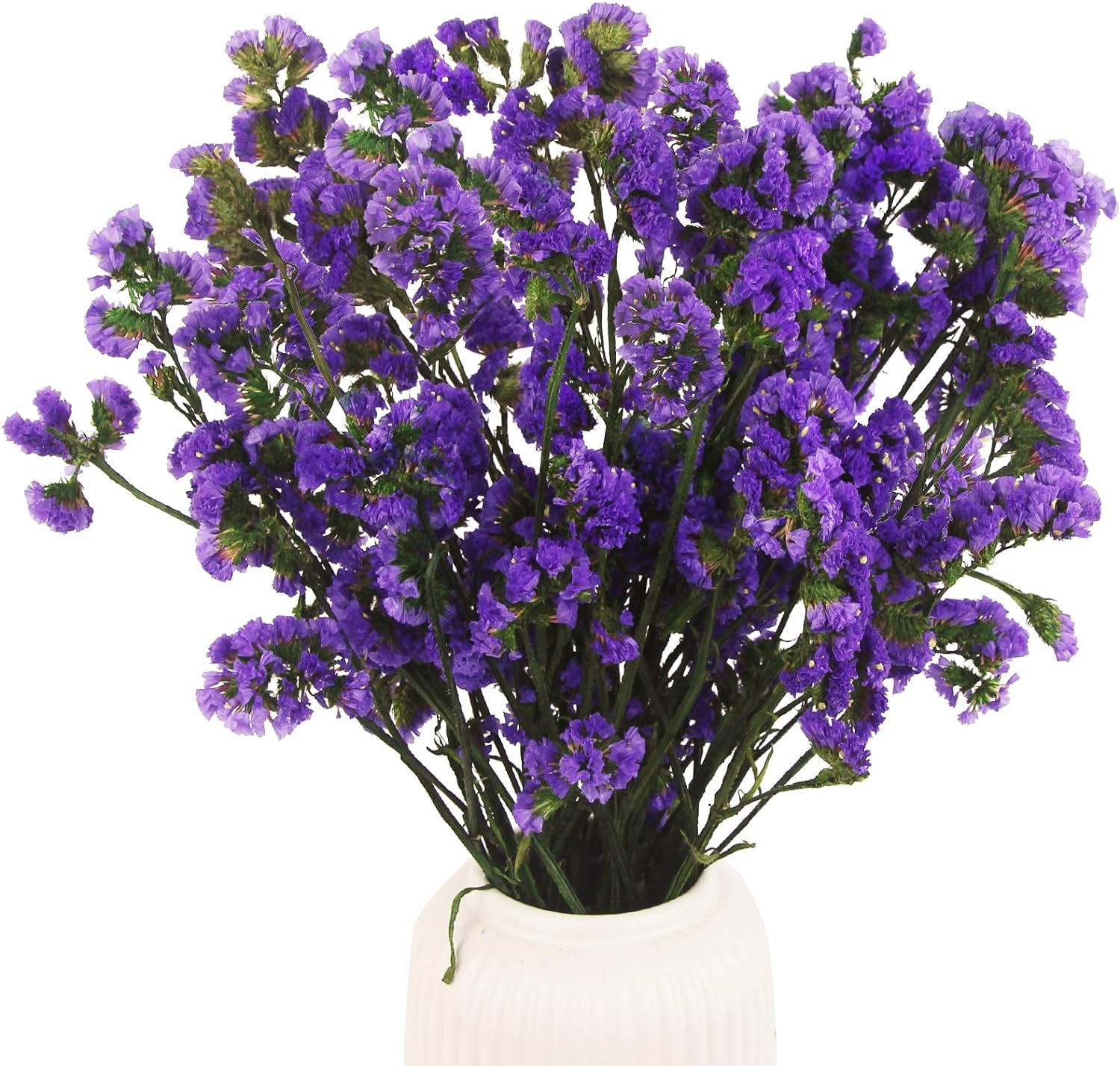 Dried Flowers Bundles Forget Me Not with Stems Natural Dried Flowers Purple Drie-image