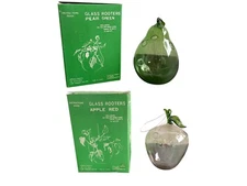 2 Vintage Glass Rooters Propagation Apple Pear Shapes Colored Vase Sprout Roots