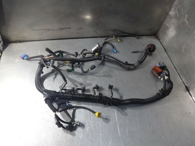 Peugeot 206 GTI 2.0 16V 140bhp 1999-2006 RFN Engine/Injector Wiring
