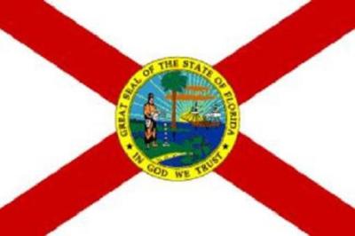 Verenigde Staten Met De Kaart Van Florida En Het Vlagpictogram Van