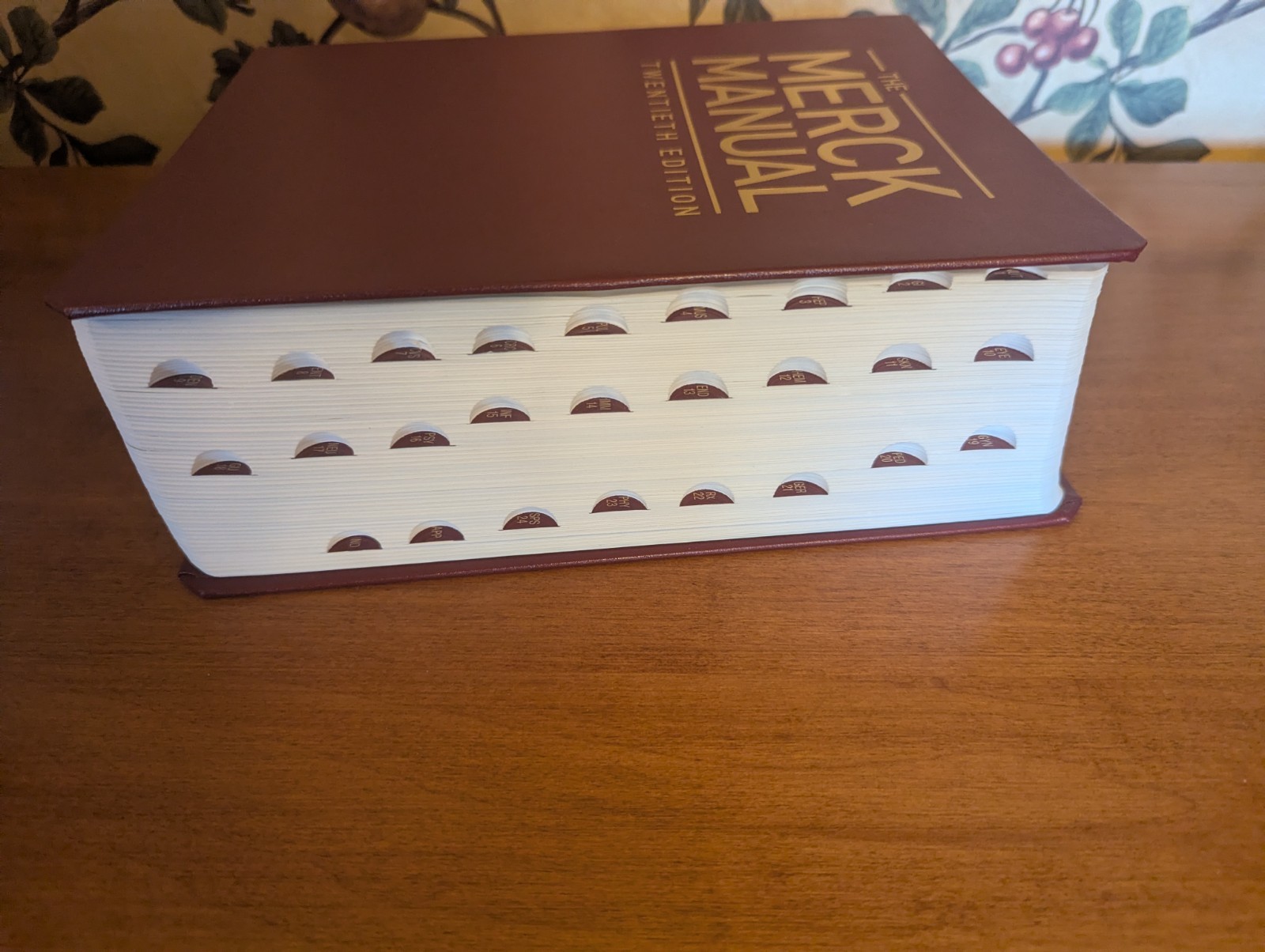 The Merck Manual of Diagnosis and Therapy 20th Edition by Merck (English) HC