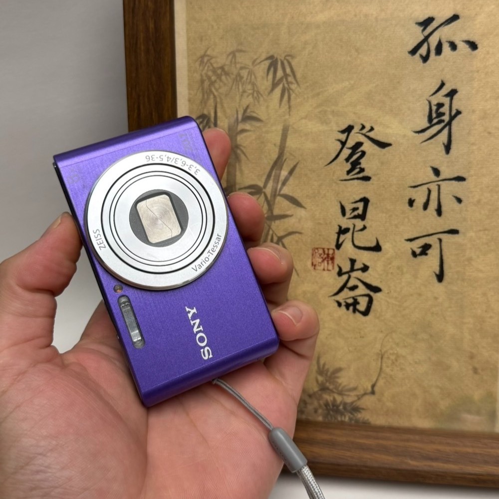 Sony Cyber-shot DSC-W830 Digital Camera Purple 20.1 Megapixel 8x