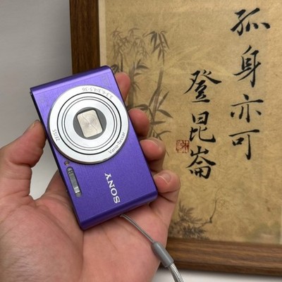 Sony Cyber-shot DSC-W830  20.1 Megapixel 8x Optical Zoom Digital Camera