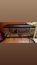 Reptile tank