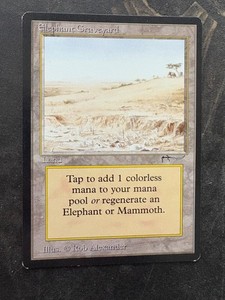 Elephant Graveyard　アラビアンナイト Elephant Graveyard アラビアンナイト Elephant Graveyard | Arabian