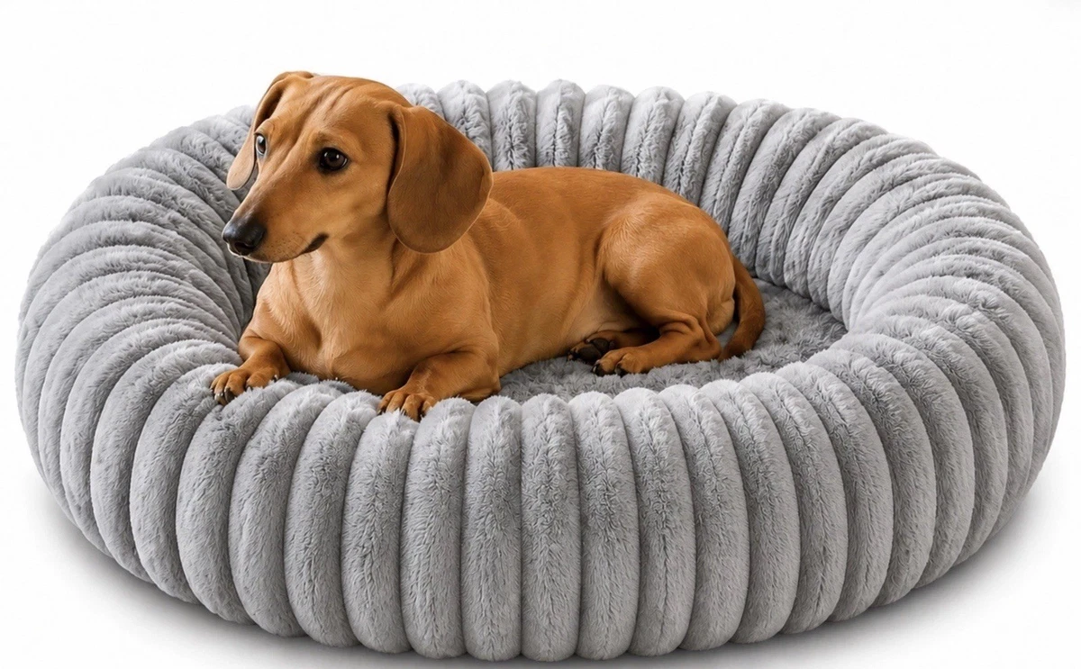 Hundebett Kleine Hunde online kaufen | eBay.de