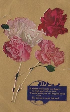 Carnation Greetings Center Lovell ME Gold Posted Divided Back Vintage Postcard