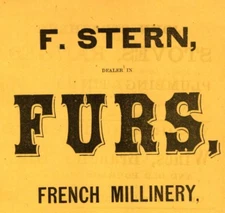 F Stern Furs George Taylor Wines Thayer & Beyea Doors 1872 Vails Orange Co NY Ad