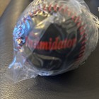 Dale Earnhardt #3 Collector Baseball-Race Day Official Raceball in plastic — photo 3