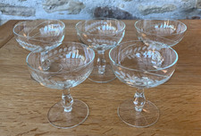 Vintage Champagne Coupe Etched Floral Sherbet Cocktail Glasses Martini Set of 5