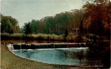 Michigan Card Co., Grand Rapids, Michigan, Norton Louis Avery, Milham Postcard