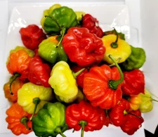 100 Seeds, Aji Dulce, Pepper Seeds, Ajicito, Gustoso, Cachucha, Sofrito, Organic