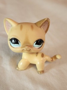 Littlest Pet Shop LPS N°886 - Chat Européen Shorthair - Authentique Collection