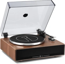 Vinyl Record Player with Bluetooth Input, All-In-One Turntable with Built-In Spe