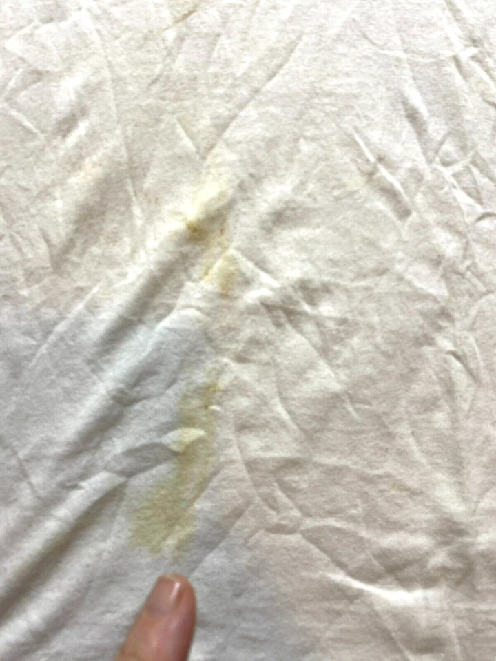 Hermosa Camisa De Colección Keep America Para Mujer 3XL Flor Artística Naturecore EE. UU. Años 80 Dama Foto 4 de 4