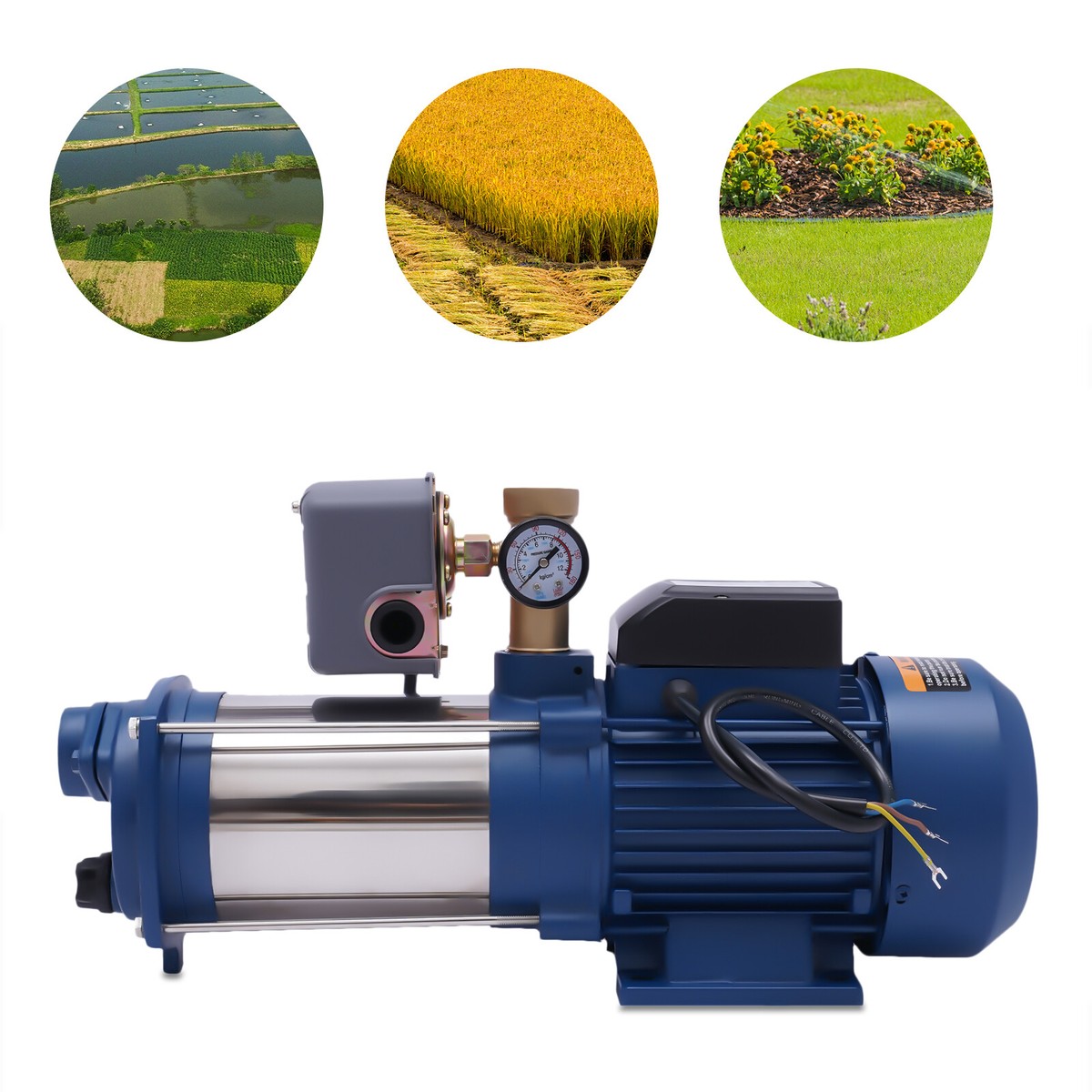 RIDEX Fahrwerksfedern 2x Vorne - 325mm Schraubenfedern Für Bessere Straßenlage