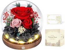 Roses in Glass Dome with LED Light - Long Lasting Real Flowers, Foreve