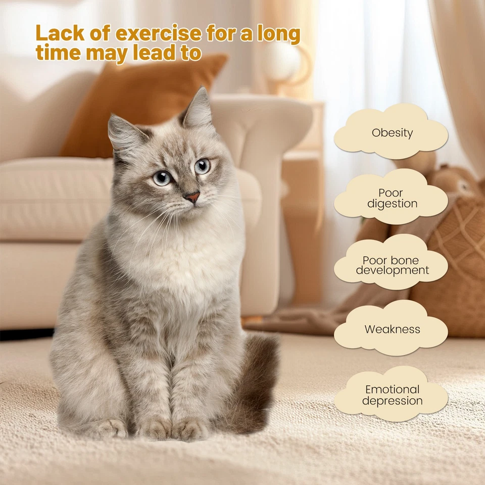 Wooden Cat Exercise Wheel 52" Large Cat Treadmill Wheel for Indoor Cats White - Image 4 of 4