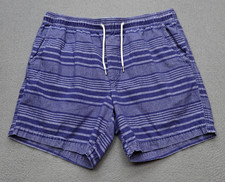 American Eagle Outfitters Chino Shorts Men's Size M Blue Striped Drawstring