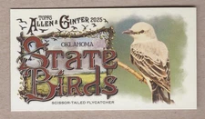 2025 Topps Allen & Ginter Mini State Birds Scissor-Tailed Flycatcher Oklahoma