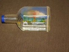 VINTAGE 6" SOUVENIR WASHINGTON PEACE ARCH BOTTLE SNOW GLOBE *1/3 FULL LIQUID*