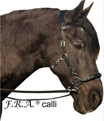 F-R-A-Calli-hackamore-bitless-bridle-Incl-reins-black-leather