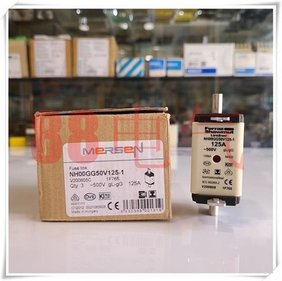 1pcs New Ferraz NH00GG50V125-1 125A#yr