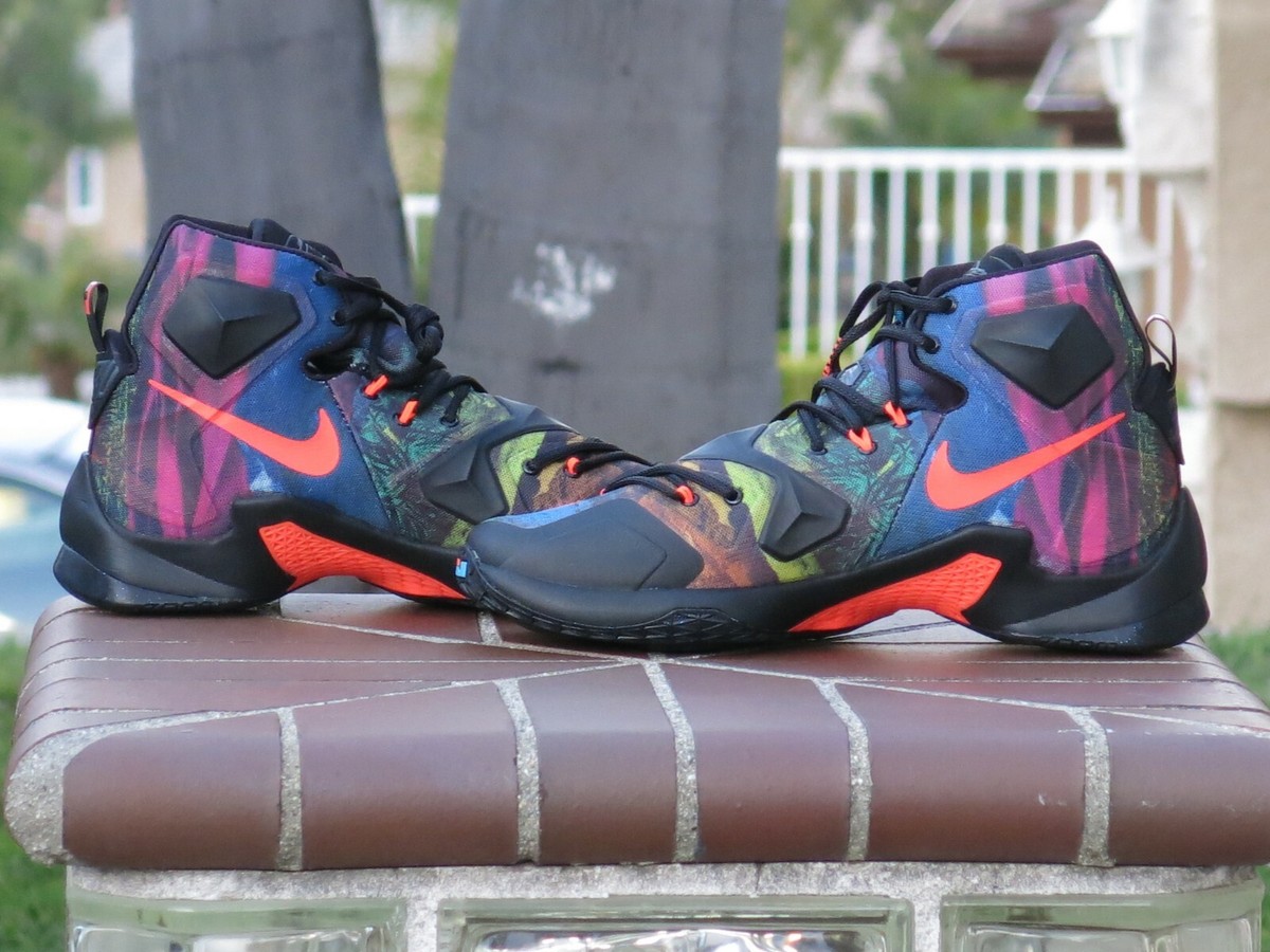 Nike LeBron XIII Men's Basketball Sneakers 807219-008 | eBay