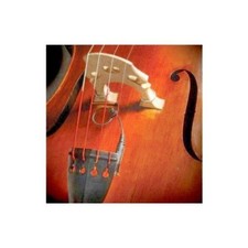 The Realist RLSTSWB1Orchestral Bass Transducer w/ Wood Element