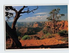 Postcard South Rim Grand Canyon National Park Arizona USA