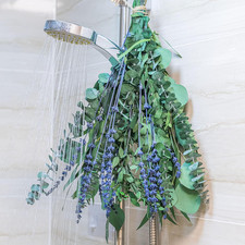 5 Kinds Eucalyptus  Lavender Stems - 17" Natural Fresh Hanging Real Leaves Show