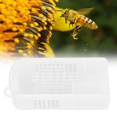 5Pcs Transparent Plastic Queen Bee Cage Beekeeping Tool Equipment Accessorie SET